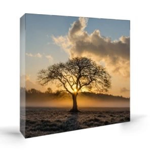 Photo Canvas