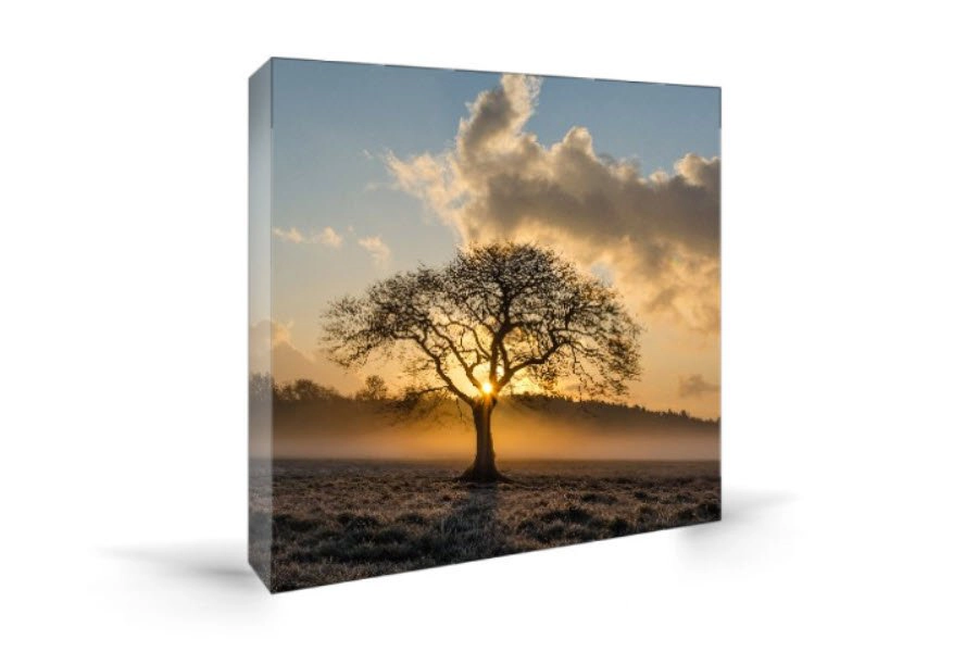 Photo Canvas